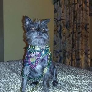 Meet your Posher, Barbara